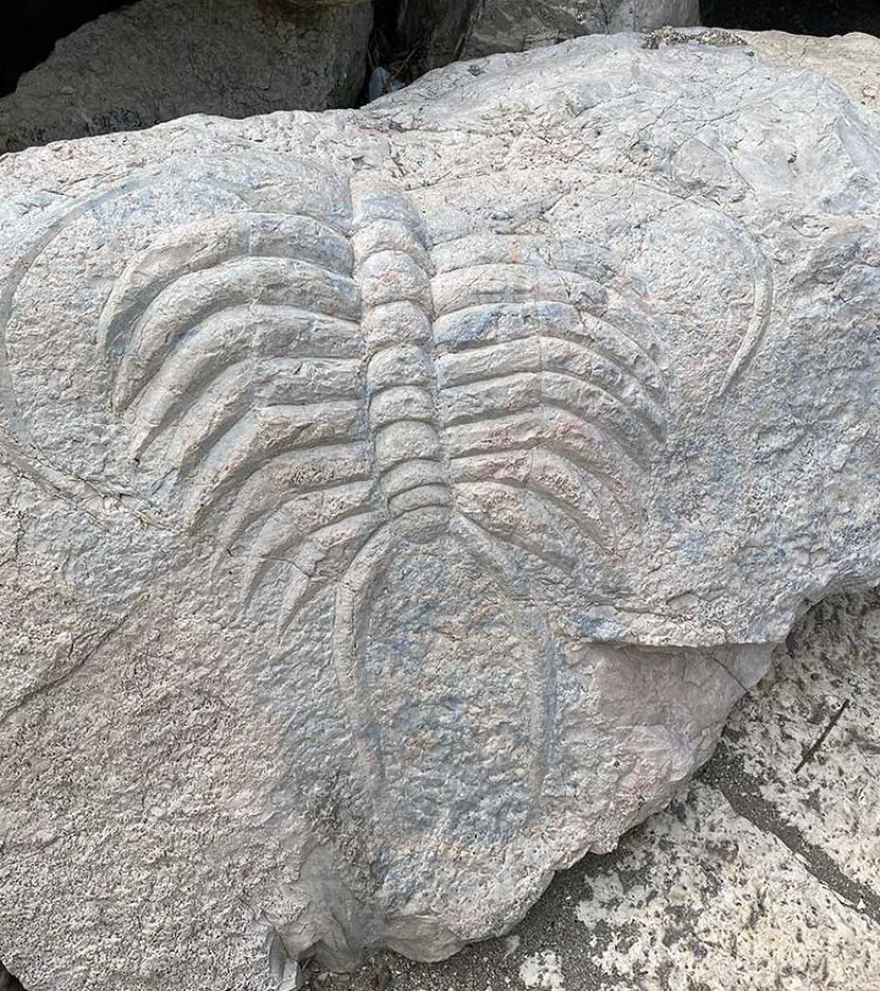 piran_skulptur_krabbe_01_opt