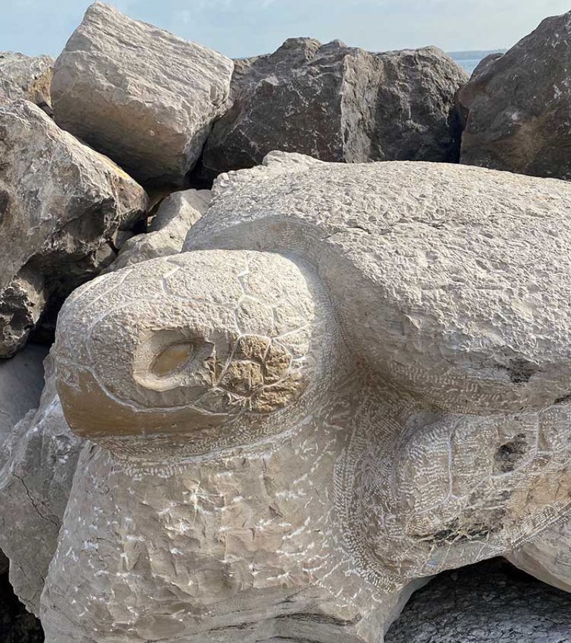 piran_skulptur_schildkroete_01_opt